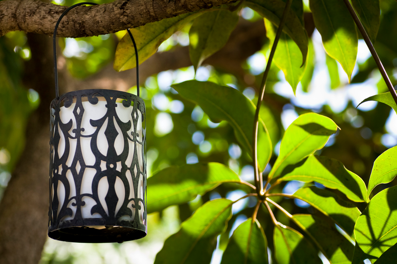 Illustration for article titled Muttart Conservatory - Tamron 90mm Review
